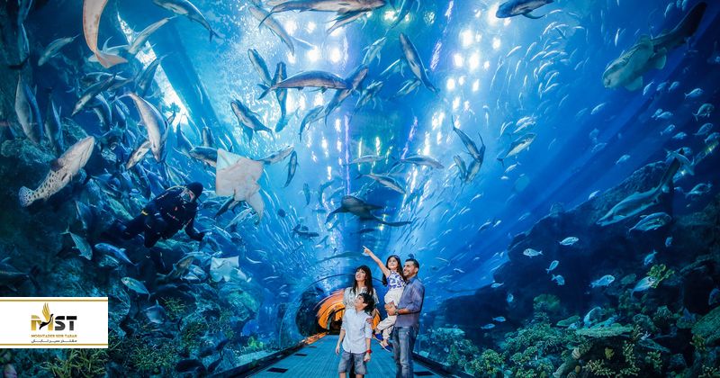 Dubai Aquarium