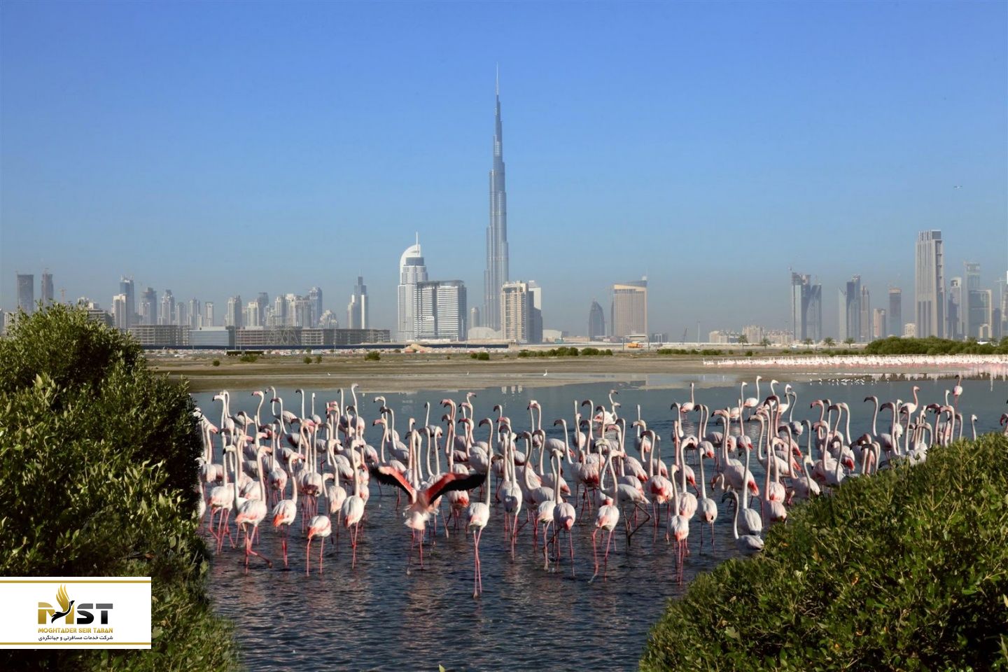پارک های دبی