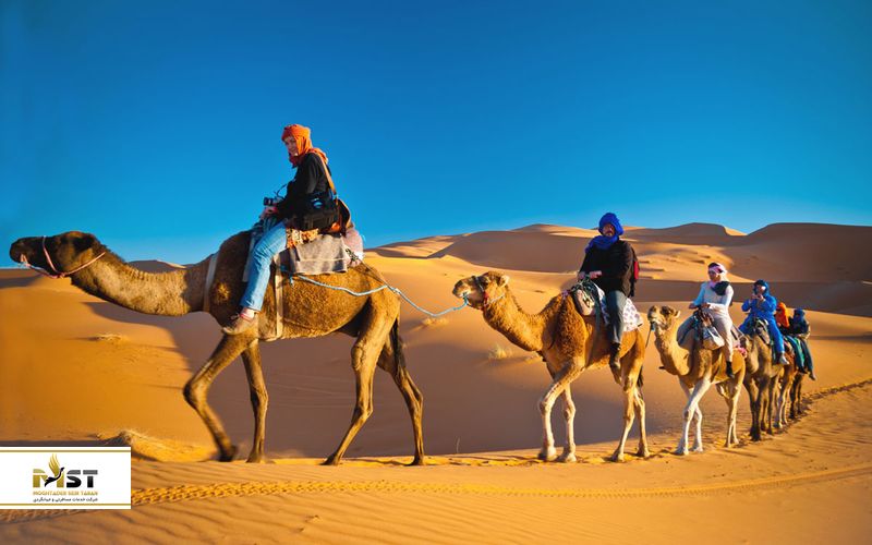 سافاری صحرای دبی