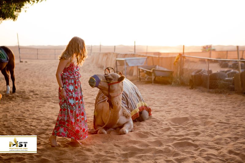 سافاری صحرای دبی