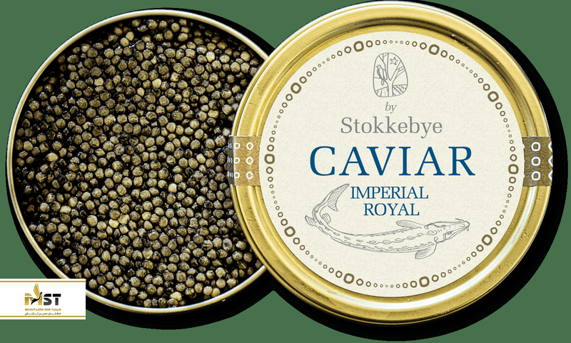 خرچنگ بزرگ عنکبوتی