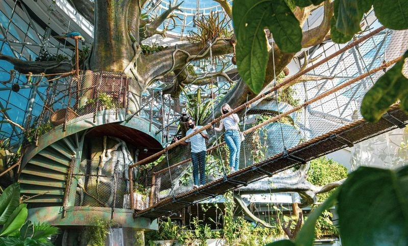 میان بهترین مراکز خرید لوکس دبی، سیتی واک طراحی خاصی دارد که آن را متمایز می&zwnj;کند. این مرکز خرید زیبا ۲ محیط روباز و سرپوشیده دارد و جای مناسبی برای تفریح و خرید در فضای باز است. سیتی واک محیطی به بزرگی ۹۰۰،۰۰۰ متر مربع، بیش از ۶۰ مغازه و مکان&zwnj;هایی برای قدم زدن و عکاسی دارد. یکی از نقاط محبوب آن برای گرفتن عکس یادگاری، فواره سیتی&zwnj;واک (Fountain area) است. در این مرکز خرید برندهای متنوعی فعالیت می&zwnj;کنند که برخی از آن&zwnj;ها عبارت&zwnj;اند از: سواروسکی (Swarovski)، صِفورا، کریستین دیور و کاوالو (Cavallo).