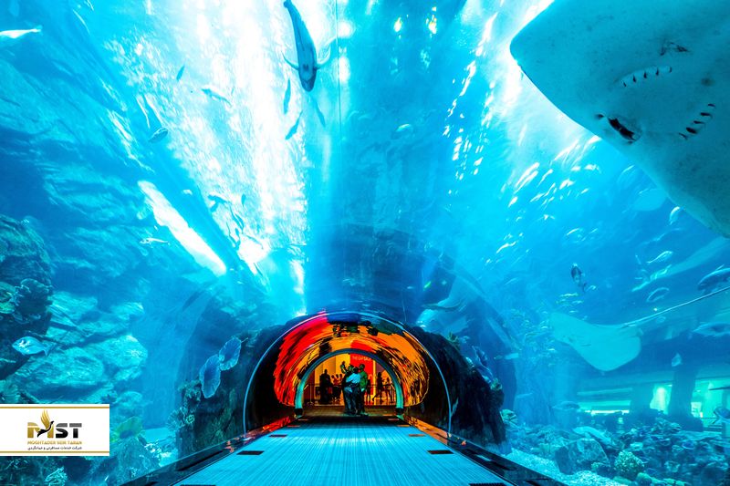 بزرگ&zwnj;ترین آکواریوم جهان
