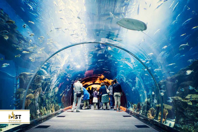 آکواریوم و باغ وحش آبی دبی
