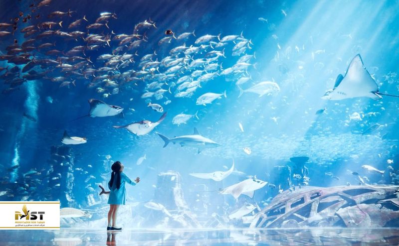 آکوایوم تالار گمشده