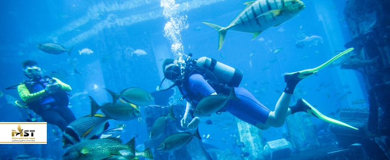 آکوایوم تالار گمشده