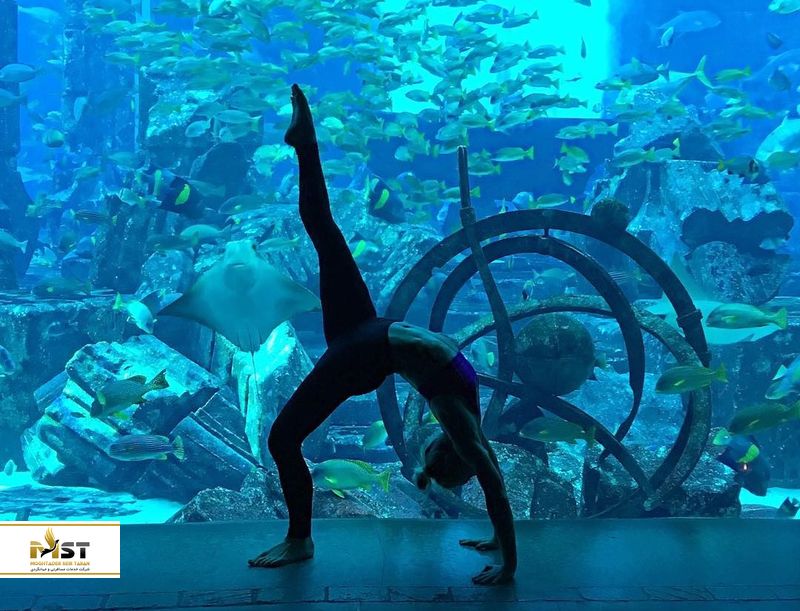 آکوایوم تالار گمشده