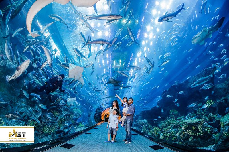 آکاوریوم دبی