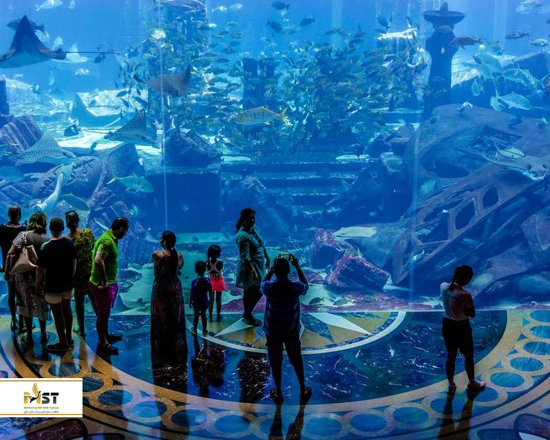 آکواریوم دبی