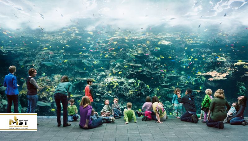 آکواریوم در گرجستان