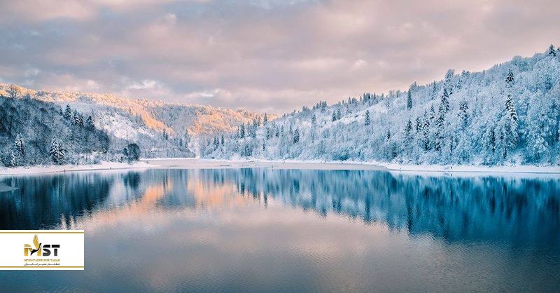 برکه شائوری