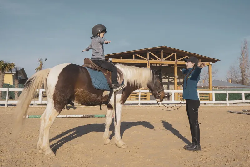 میدان اسب&zwnj;دوانی هیپودروم (Hippodrome) یکی از جاهای تفریحی - ورزشی دریاچه لیسی است و حدوداً ۲ کیلومتر با آن فاصله دارد. مربی&zwnj;های این میدان اسب&zwnj;دوانی، تکنیک&zwnj;های سواری را به شکلی امن و راحت به کودکان و بزرگسالان آموزش می&zwnj;دهند؛ بنابراین، نیازی نیست حتماً سوارکاری بلد باشید. فضای دل&zwnj;پذیر و کیفیت بالای خدمات ارائه&zwnj;شده، افراد زیادی را برای بازدید از&nbsp; مدرسه اسب&zwnj;سواری هیپودروم مشتاق می&zwnj;کند.