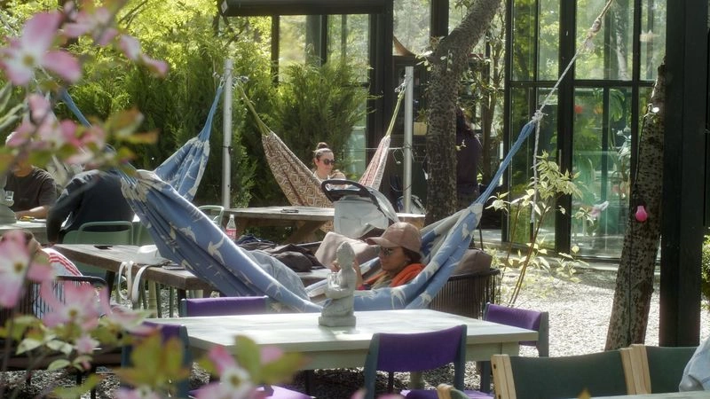 کافه&zwnj;رستوران کاری یکی از دنج&zwnj;ترین جاهایی است که می&zwnj;توانید تصور کنید. این رستوران هم محیط بسته دارد هم فضای آزاد. محیط داخلی آن کاملاً شیشه&zwnj;ای و شبیه گلخانه است و شما می&zwnj;&zwnj;توانید طبیعت سرسبز را از داخل رستوران ببینید. یکی از جالب&zwnj;ترین امکانات این کافه تخت&zwnj;های آویز هستند که در فضای باز رستوران و میان درختان جنگل قرار دارند.