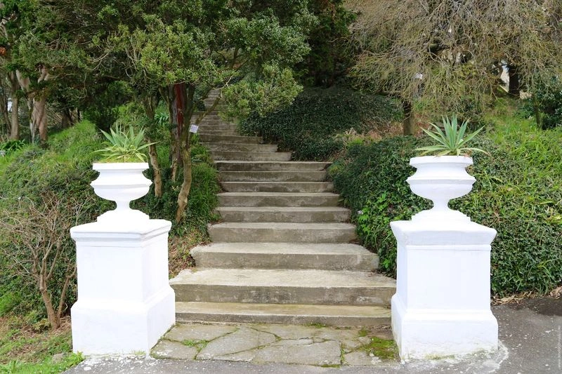 قیمت بلیط باغ گیاه&zwnj;شناسی برای مردم محلی گرجستان تقریبا ۷ لاری &laquo;واحد پول گرجستان&raquo; و برای مسافران خارجی ۱۵ لاری است.