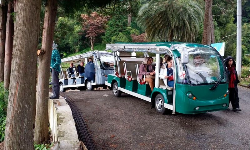 باغ گیاه&zwnj;شناسی باتومی به طور مرتب در طول سال نمایشگاه&zwnj;ها، موزه&zwnj;ها و کارگاه&zwnj;های گیاه&zwnj;شناسی متنوعی برگزار می&zwnj;کند. پس بازدیدکننده&zwnj;&zwnj;گان می&zwnj;توانند از نمایشگاه&zwnj;های گل دیدن کرده و یا در جشنواره های موسیقی و کارگاه&zwnj;های آموزشی شرکت کنند. 