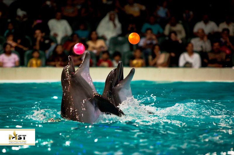 دلفیناریوم باتومی