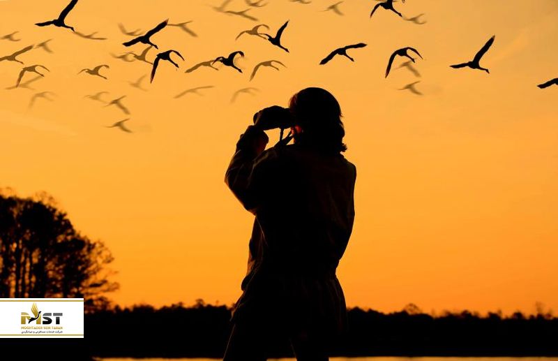 جشنواره بین&zwnj;المللی پرنده باتومی 