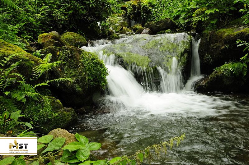 پارک ملی متیلارا