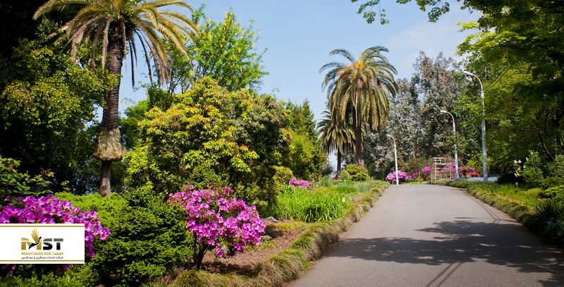باغ گیاه&zwnj;شناسی باتومی