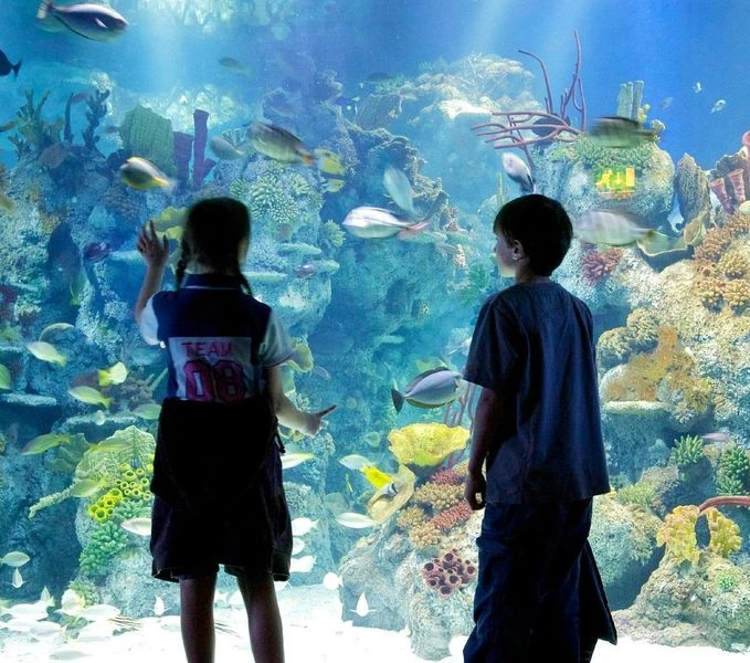 آکواریوم باتومی گرجستان