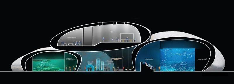 طراحی و معماری آکواریوم باتومی