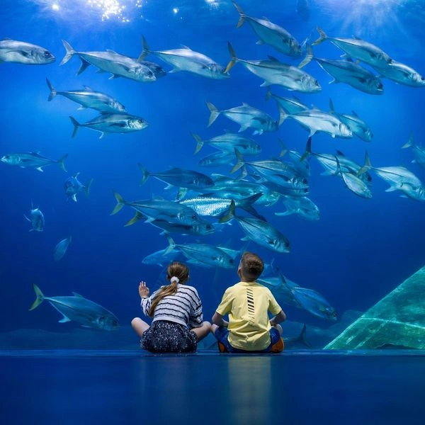  تفریحی عالی در سفر به این شهر توریستی و ساحلی گرجستان تبدیل کرده&zwnj;اند