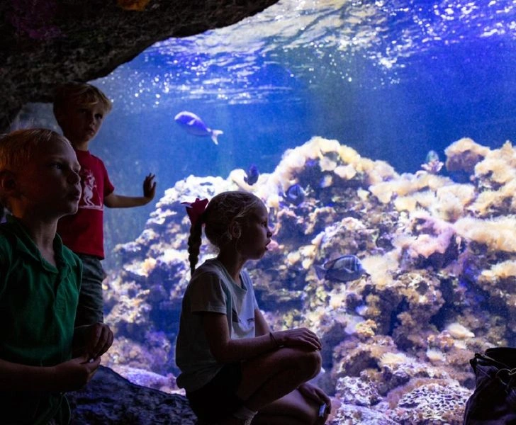 قیمت بلیط و ساعت کاری آکواریوم باتومی