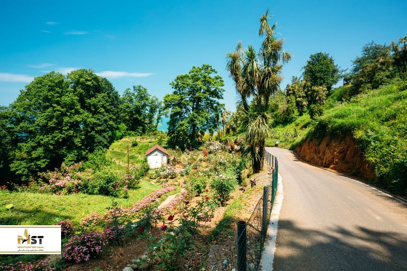 باغ گیاه شناسی باتومی