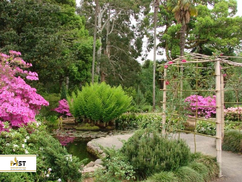 باغ گیاه شناسی باتومی