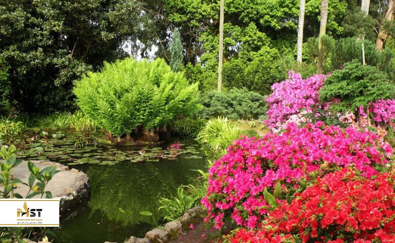 باغ گیاه شناسی باتومی