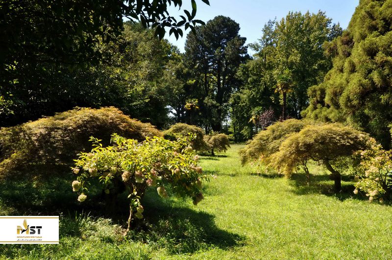 باغ گیاه شناسی باتومی