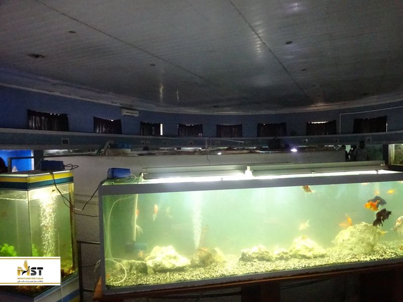 آکواریوم باتومی