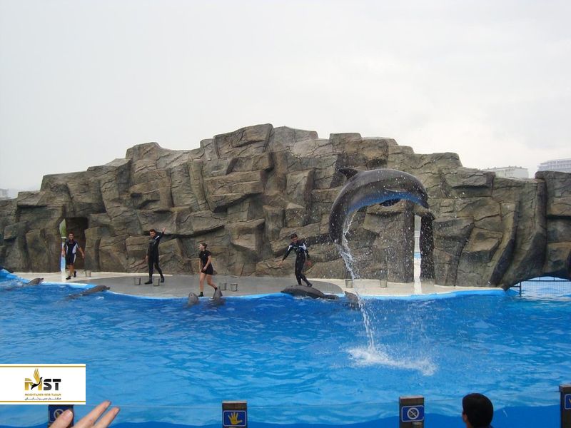 دلفیناریوم باتومی