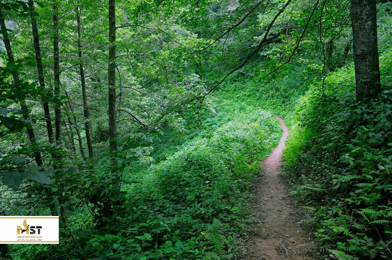 پارک ملی میترالا