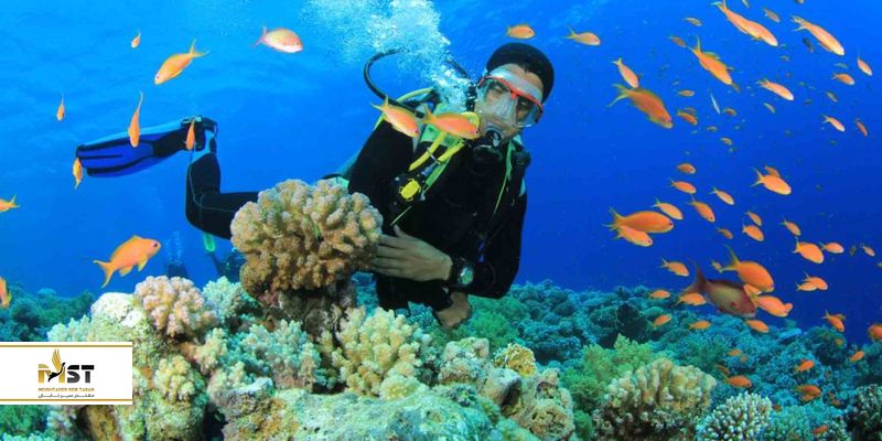 مرکز غواصی باتومی