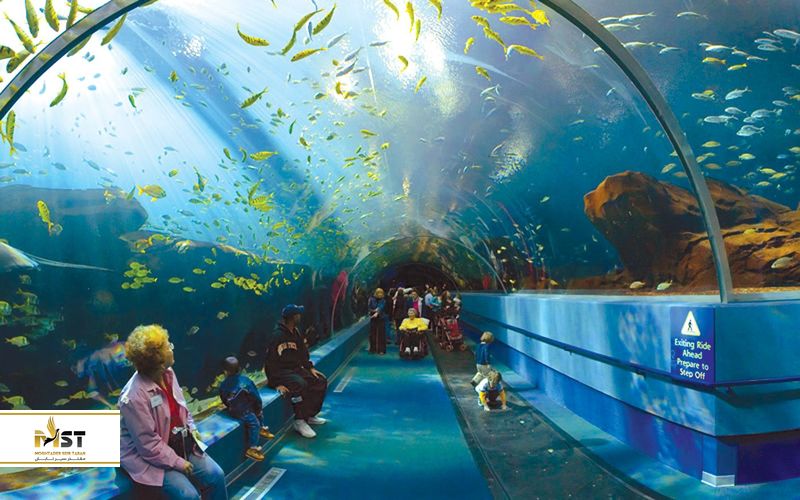 آکواریوم باتومی