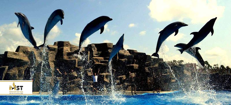 دلفیناریوم باتومی