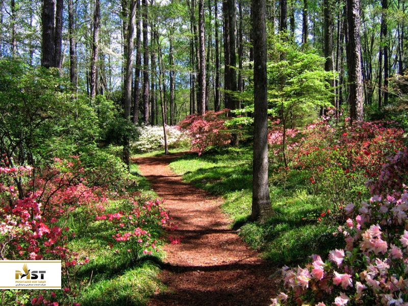 طبیعت گرجستان