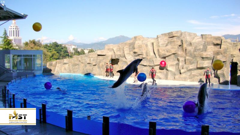 پارک 6 می باتومی