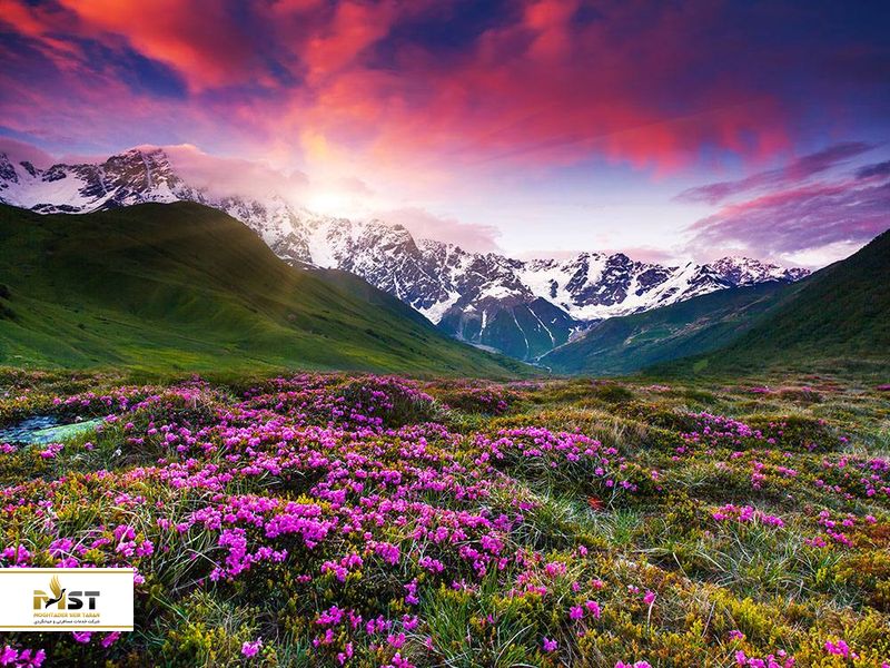 ماه عسل گرجستان