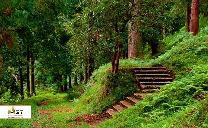 باغ&zwnj;های بوتاتیکال