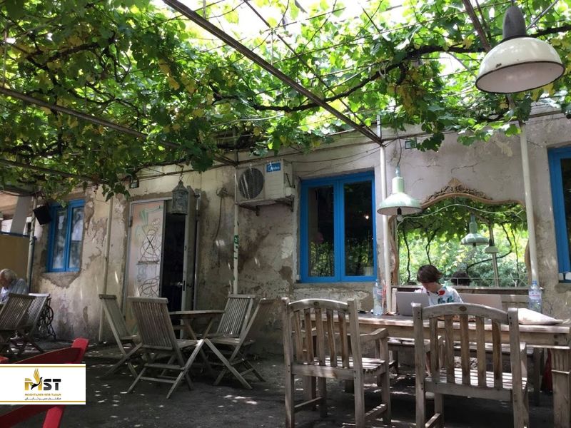 Sofia Melnikova's Fantastic