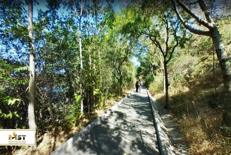 دریاچهی لاکپشت