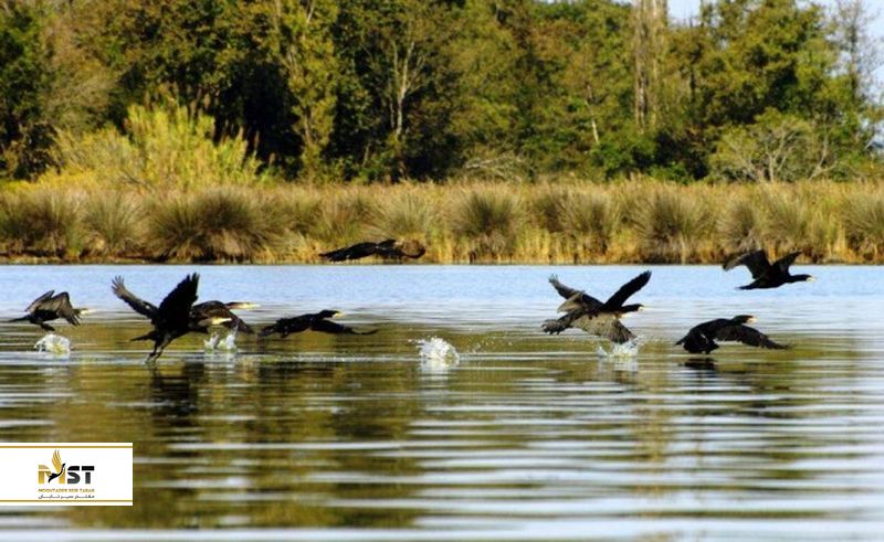 پارک ملی کلخیتی