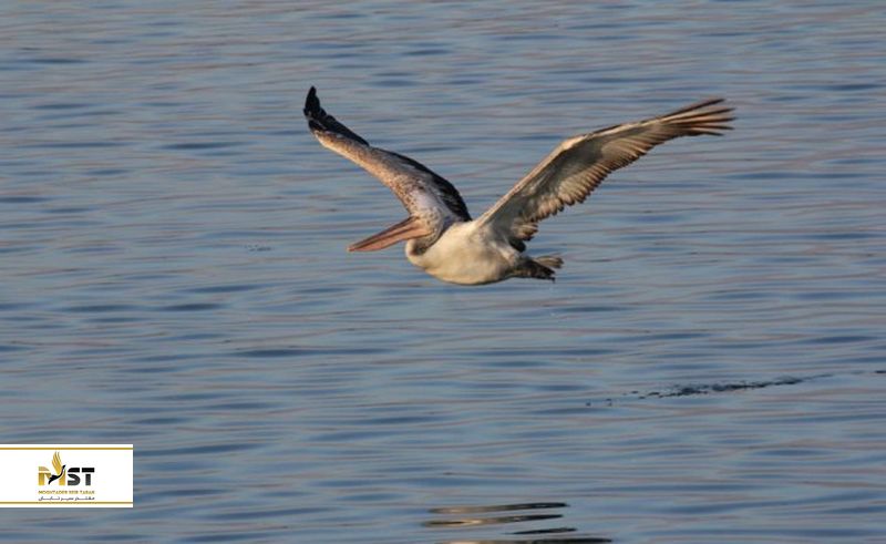 پارک ملی کلخیتی