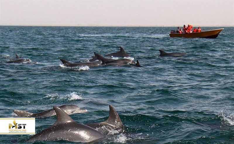  جزیره هنگام