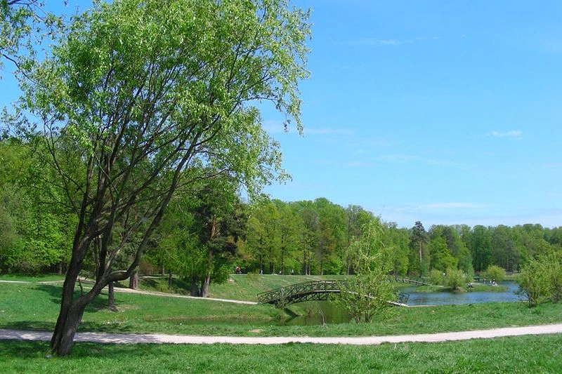 سایت غواصی جزایر ناز قشم