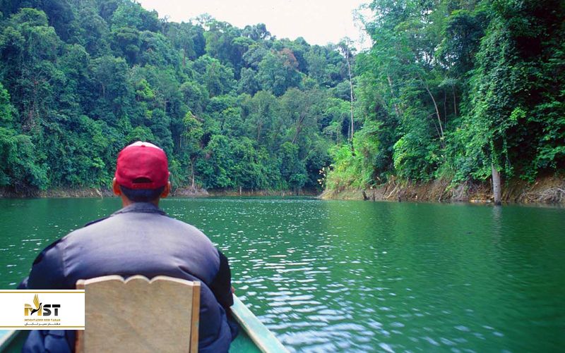 Introduction to hara forests in Qeshm
