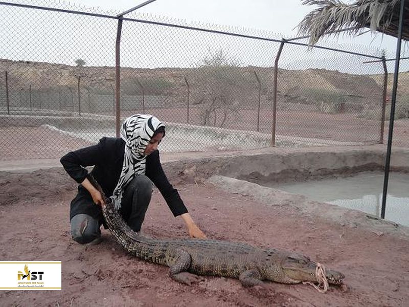 پارک کروکودیل قشم