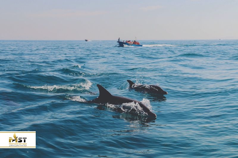 جزیره هنگام